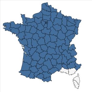 Répartition de Convallaria majalis L. en France