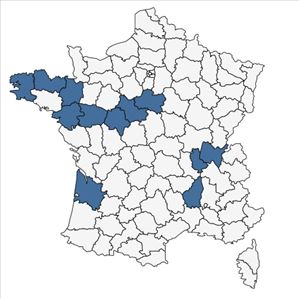 Répartition de Aira armoricana F.Albers en France