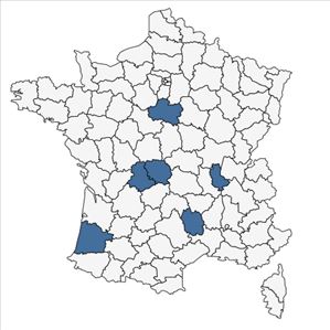 Répartition de Bromus hordeaceus subsp. longipedicellatus L.M.Spalton en France