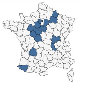 Répartition de Conopodium majus (Gouan) Loret subsp. majus en France