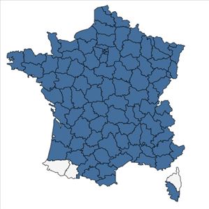 Répartition de Coronilla varia L. en France