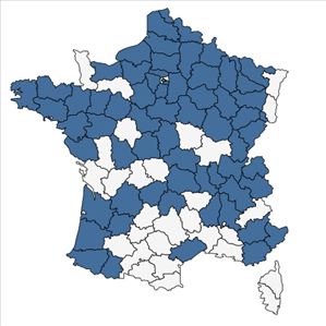 Répartition de Cotoneaster horizontalis Decne. en France