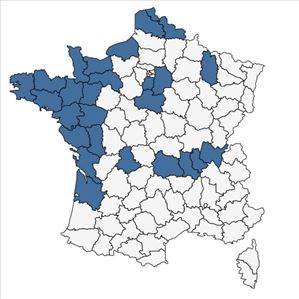 Répartition de Crassula helmsii (Kirk) Cockayne en France