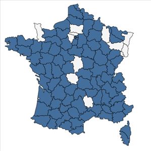 Répartition de Nigella damascena L. en France