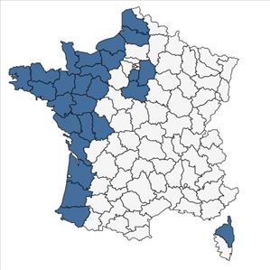 Répartition de Oenanthe crocata L. en France