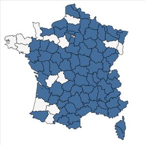 Répartition de Crepis foetida L. en France