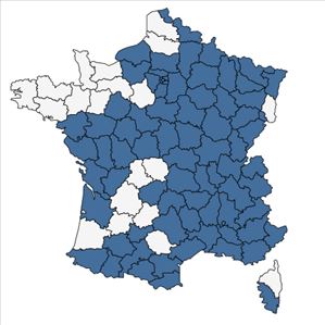 Répartition de Cuscuta europaea L. en France