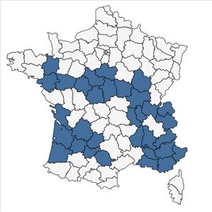 Répartition de Cuscuta scandens Brot. en France