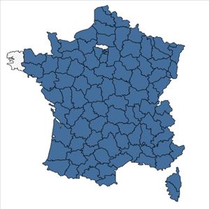 Répartition de Cyanus segetum Hill en France