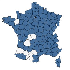 Répartition de Cynoglossum officinale L. en France