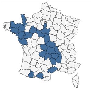 Répartition de Cytisus multiflorus (L'Hér.) Sweet en France