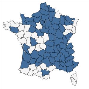 Répartition de Rumex patientia L. en France
