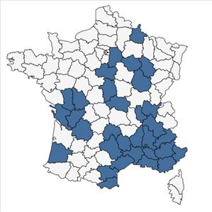 Répartition de Deschampsia media (Gouan) Roem. & Schult. en France