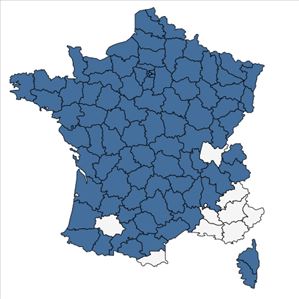 Répartition de Digitalis purpurea L. en France