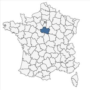 Répartition de Nicotiana sylvestris Speg. en France