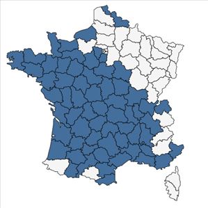 Répartition de Aira multiculmis Dumort. en France