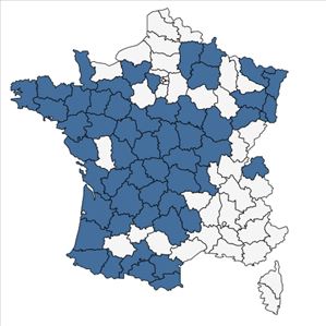 Répartition de Drosera intermedia Hayne en France