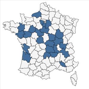 Répartition de Elatine alsinastrum L. en France