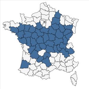 Répartition de Trapa natans L. en France