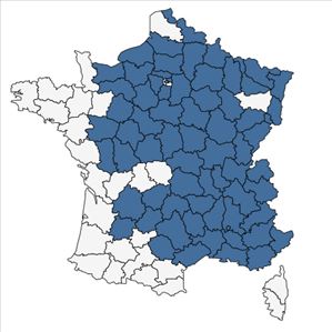 Répartition de Ajuga genevensis L. en France