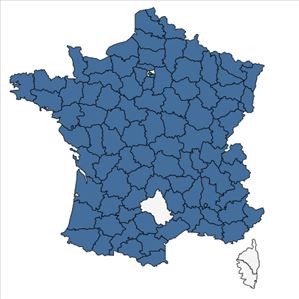 Répartition de Elodea canadensis Michx. en France