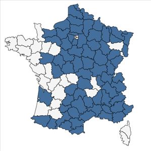 Répartition de Epipactis atrorubens (Hoffm.) Besser en France
