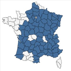 Répartition de Epipactis muelleri Godfery en France
