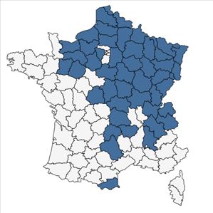 Répartition de Epipactis purpurata Sm. en France