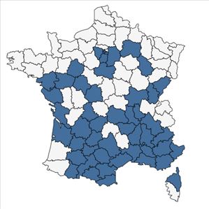Répartition de Cercis siliquastrum L. en France