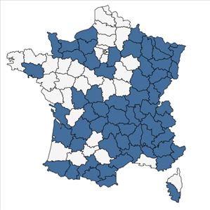 Répartition de Larix decidua Mill. en France