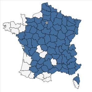 Répartition de Stachys germanica L. en France
