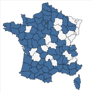 Répartition de Fumaria capreolata L. en France