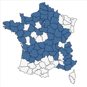 Répartition de Tilia x europaea L. en France