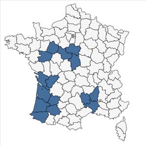 Répartition de Cistus lasianthus subsp. alyssoides (Lam.) Demoly en France
