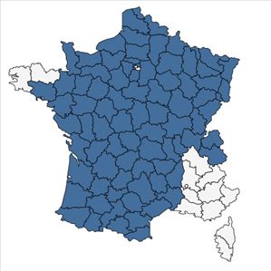 Répartition de Festuca lemanii Bastard en France