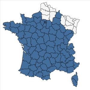 Répartition de Festuca rubra L. en France