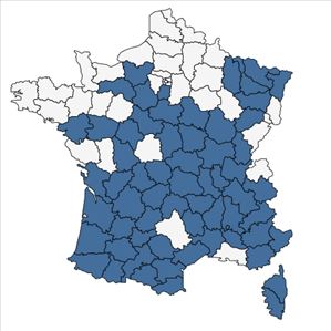 Répartition de Filago arvensis L. en France