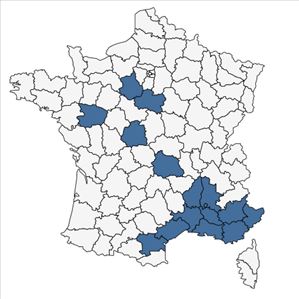 Répartition de Vicia johannis Tamamsch. en France