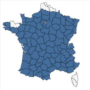 Répartition de Filipendula vulgaris Moench en France