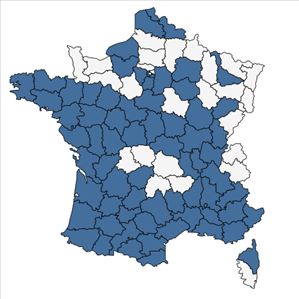 Répartition de Fraxinus angustifolia Vahl en France