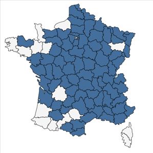 Répartition de Fumaria vaillantii Loisel. en France