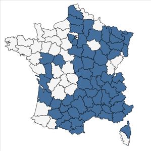 Répartition de Gagea villosa (M.Bieb.) Sweet en France