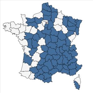 Répartition de Galium tricornutum Dandy en France