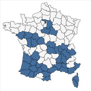 Répartition de Gleditsia triacanthos L. en France
