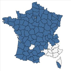 Répartition de Glyceria declinata Bréb. en France