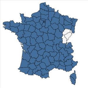 Répartition de Hedera helix L. en France