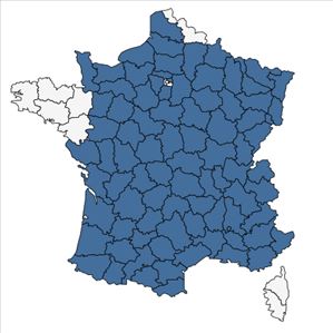 Répartition de Helleborus foetidus L. en France