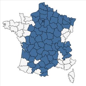 Répartition de Hieracium lachenalii Suter en France