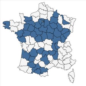Répartition de Stachys recta L. subsp. recta en France