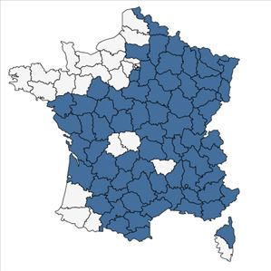 Répartition de Inula salicina L. en France